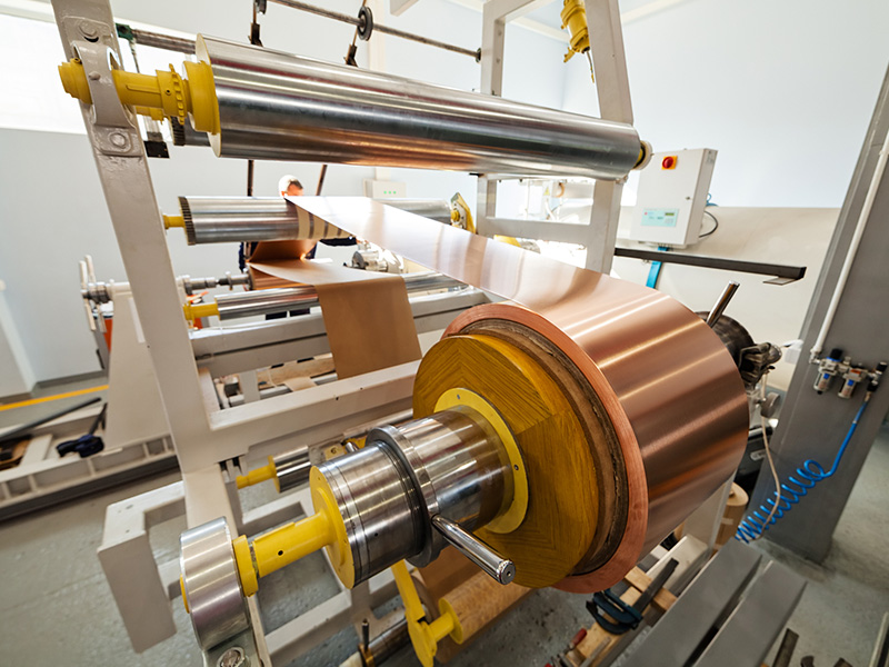 رقائق النحاس، زعنفة النحاس