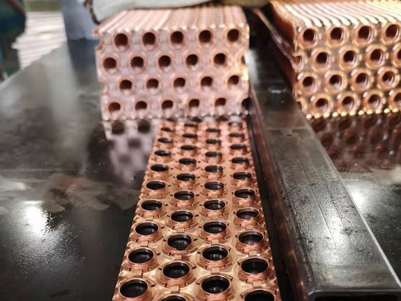 رقائق النحاس، زعنفة النحاس